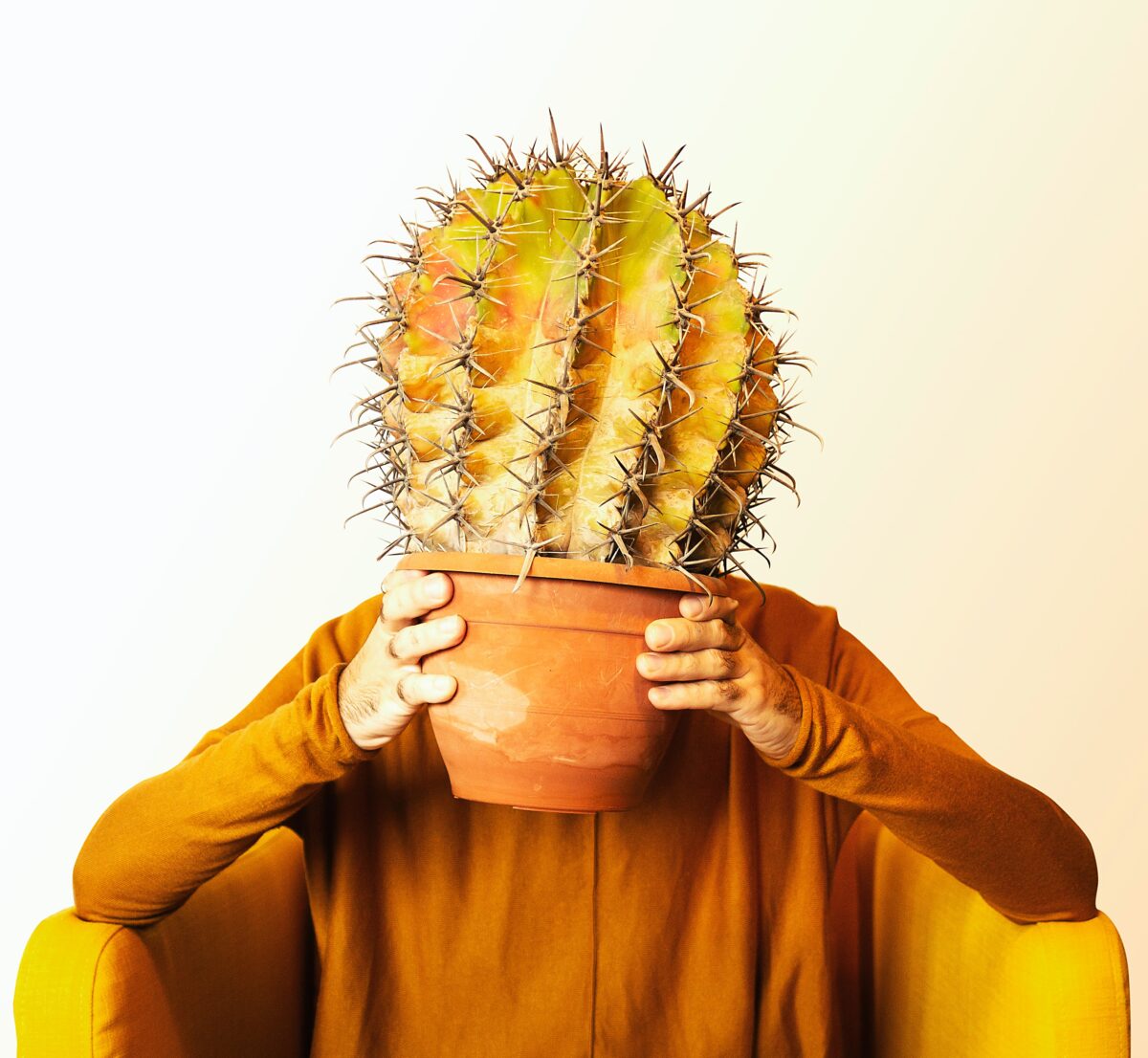 Zwijgende cactus - Dare! - Brengt organisaties in beweging | Dare! Beweegt