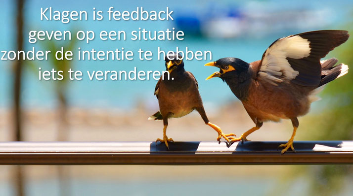 Dare! Brengt organisaties in beweging -