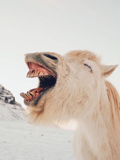 10 Tips voor een positieve cultuurverandering - Dare! - Brengt organisaties in beweging | Dare! Beweegt