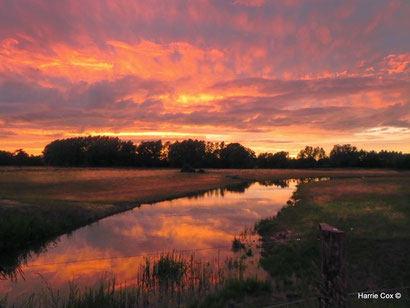 Inspiratie avond Lef! - Dare! - Brengt organisaties in beweging | Dare! Beweegt