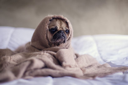 Stress- en Burn-out - Dare! - Brengt organisaties in beweging | Dare! Beweegt