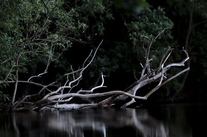 De rivier - Dare! - Brengt organisaties in beweging | Dare! Beweegt