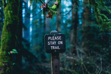 Stoppen met pleasen in 9 tips - Dare! - Brengt organisaties in beweging | Dare! Beweegt