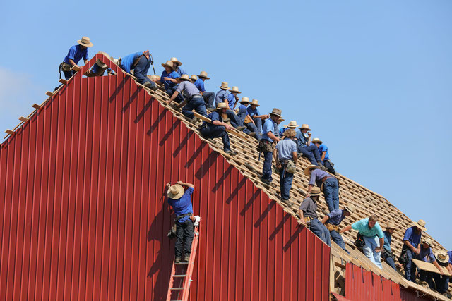 Dare! Brengt organisaties in beweging -