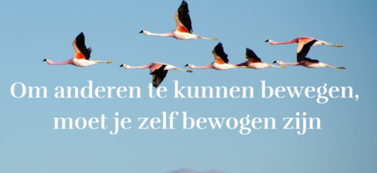 Waar liggen mijn krachten? - Dare! - Brengt organisaties in beweging | Dare! Beweegt