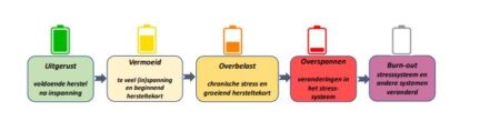 Van 'lamballen in de vakantie' naar 'met de kop in het zand' - Dare! - Brengt organisaties in beweging | Dare! Beweegt