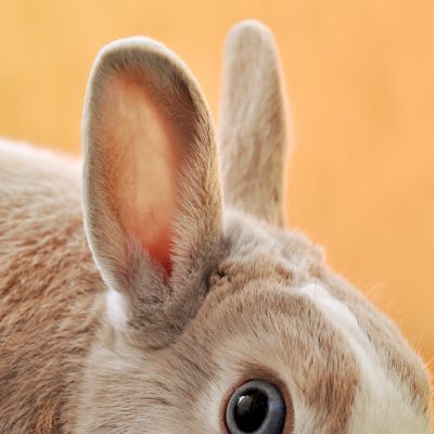 week 23 emiliano-vittoriosi-PwXIsh7QpsI-unsplash